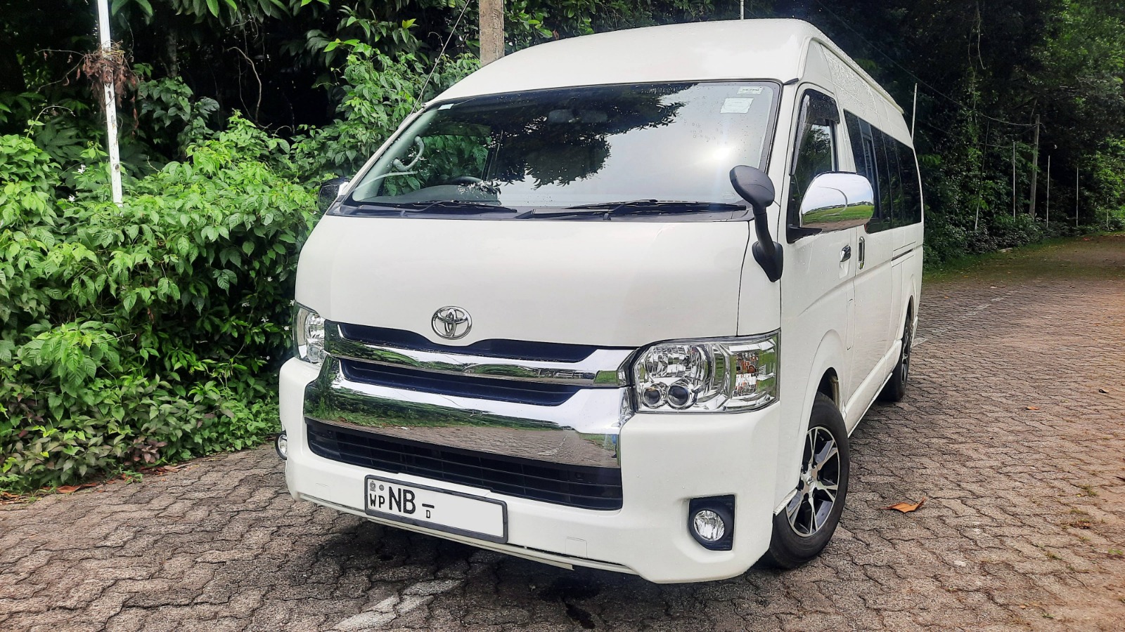 Luxury High-Roof Van