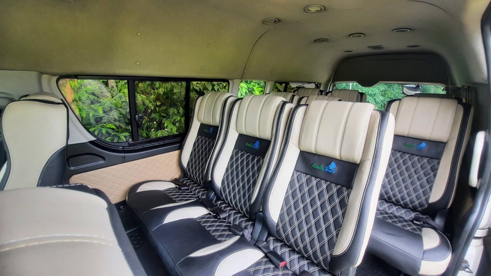 Luxury High-Roof Van 2