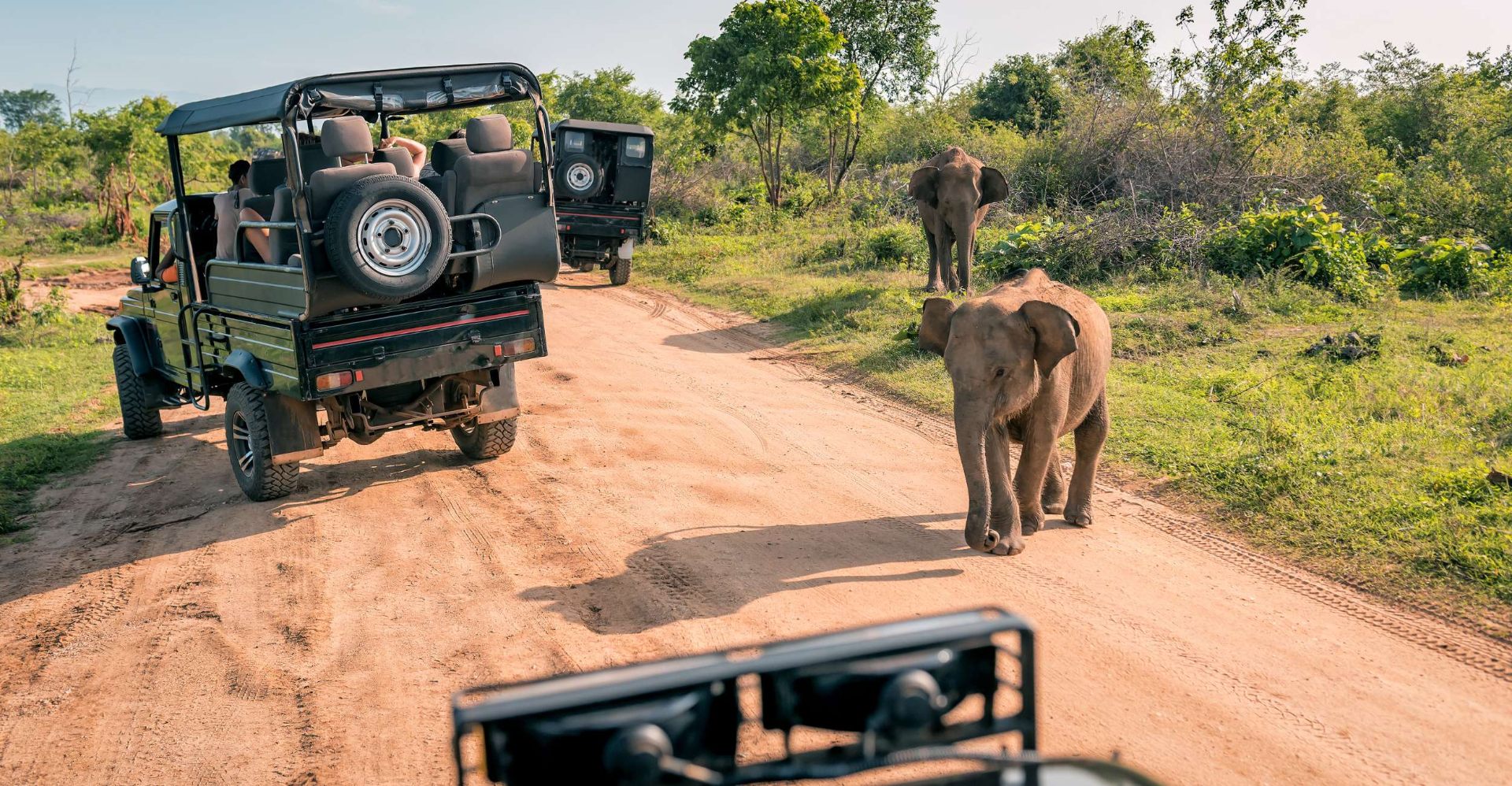 Yala Safari